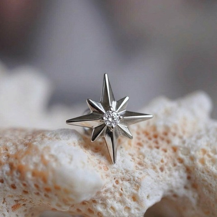 POLAR STAR