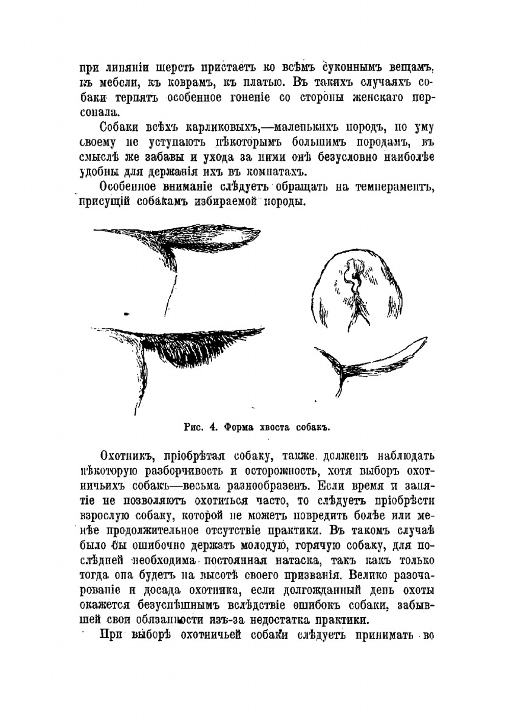 Сторожевые, охотничьи и комнатные собаки. Воспитание, кормление, содержание, дрессировка, первоначальная помощь в случаях заболевания и описание признаков различных пород | Капитанов В.И.