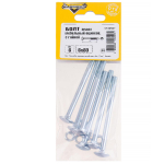 БОЛТ МЕБЕЛЬНЫЙ ELEMENT DIN603 С ГАЙКОЙ ОЦИНК 6Х80 6ШТ 2142