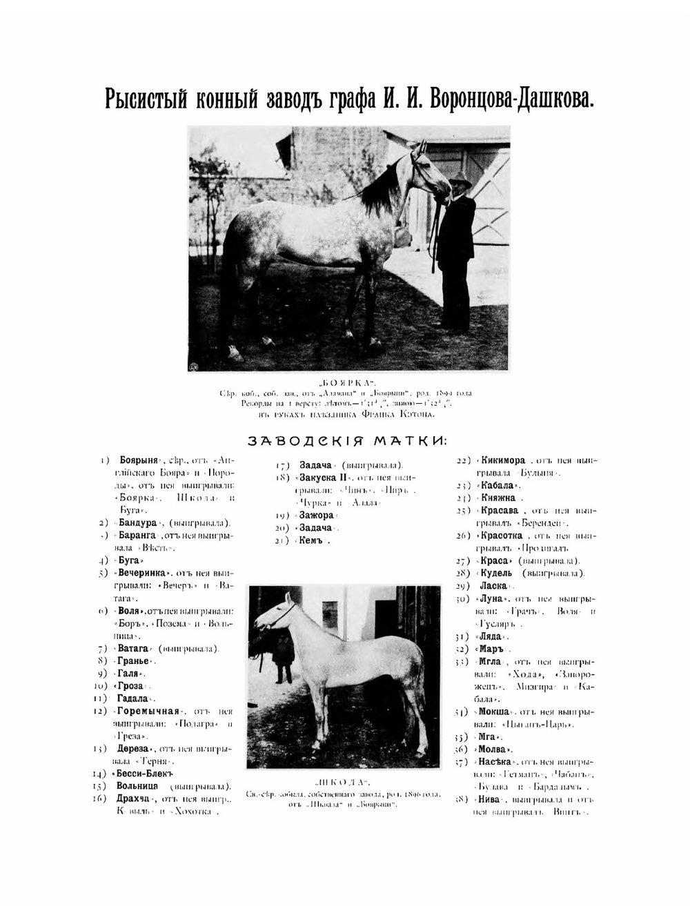 Иллюстрированный альбом рысистого и скакового спорта и перечень русских конных заводов | Максимович Лев Карлович