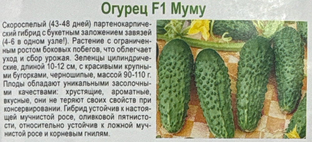 Огурец Герасим F1+Муму F1 сер. Дуэт 20 шт СМО-02