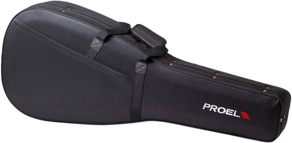 Нейлоновый кейс PROEL PFOAM20
