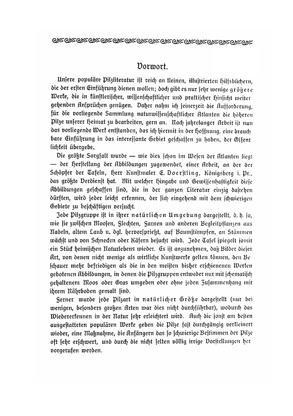 Pilze der Heimat | Eugen Gramberg