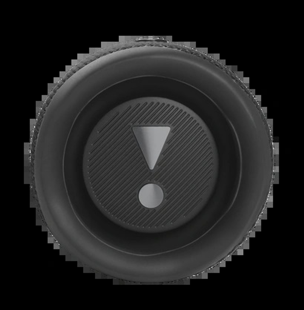 Беспроводная акустика JBL Flip 6, Black (JBLFLIP6BLK)