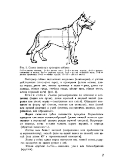 Болезни собак и кошек | С.И. Братюха; И.С. Нагорный