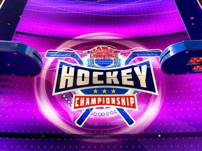 Аэрохоккей с изогнутым полем (213 х 117 х 104 см)