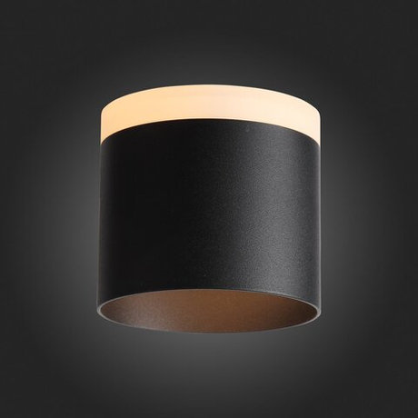 Светильник потолочный ST Luce Panaggio ST102.402.12