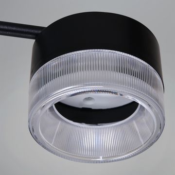 19490-0.4-6+6 Black светильник потолочный