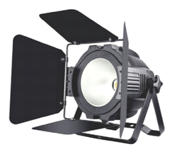 200W WW+CW COB LED Par