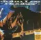 John Lee Hooker - Boom Boom - (Analogue) LP
