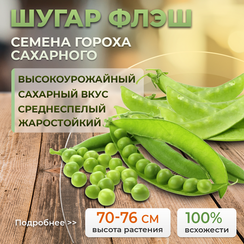 ШУГАР ФЛЭШ семена гороха (Syngenta | Alexagro)