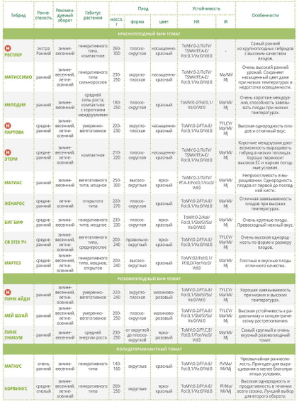 ЭТЕРИ F1 семена томата (Seminis | Alexagro) – фото 6