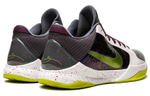 Кроссовки Nike Zoom Kobe 5 Joker (Chaos)