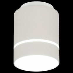 Накладной светильник Citilux CL745010N