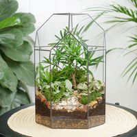 Подарки до 10 000р