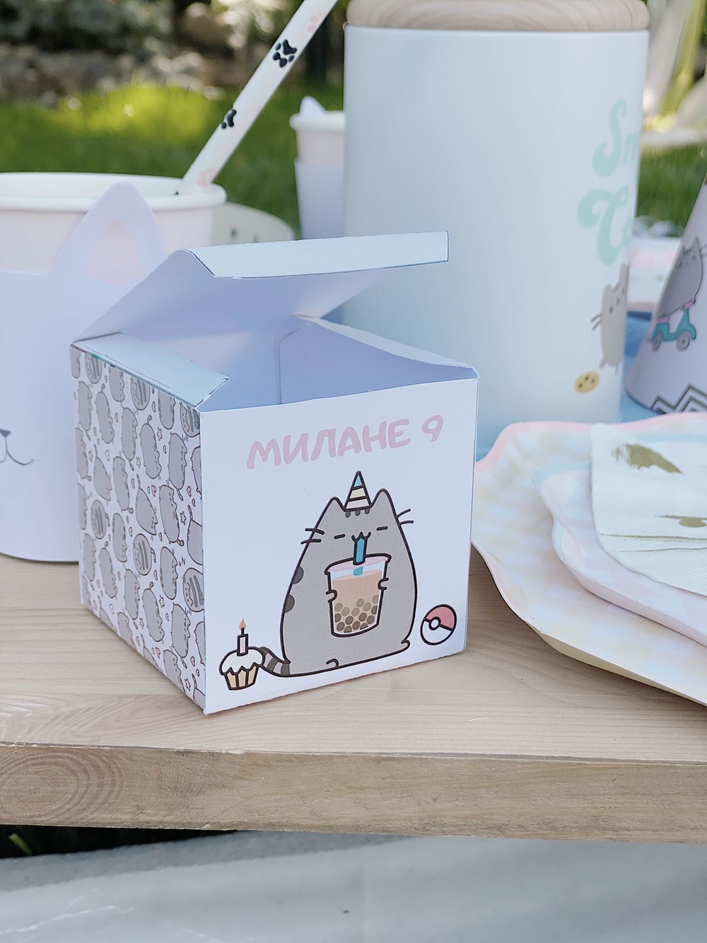 Cat Pusheen Party