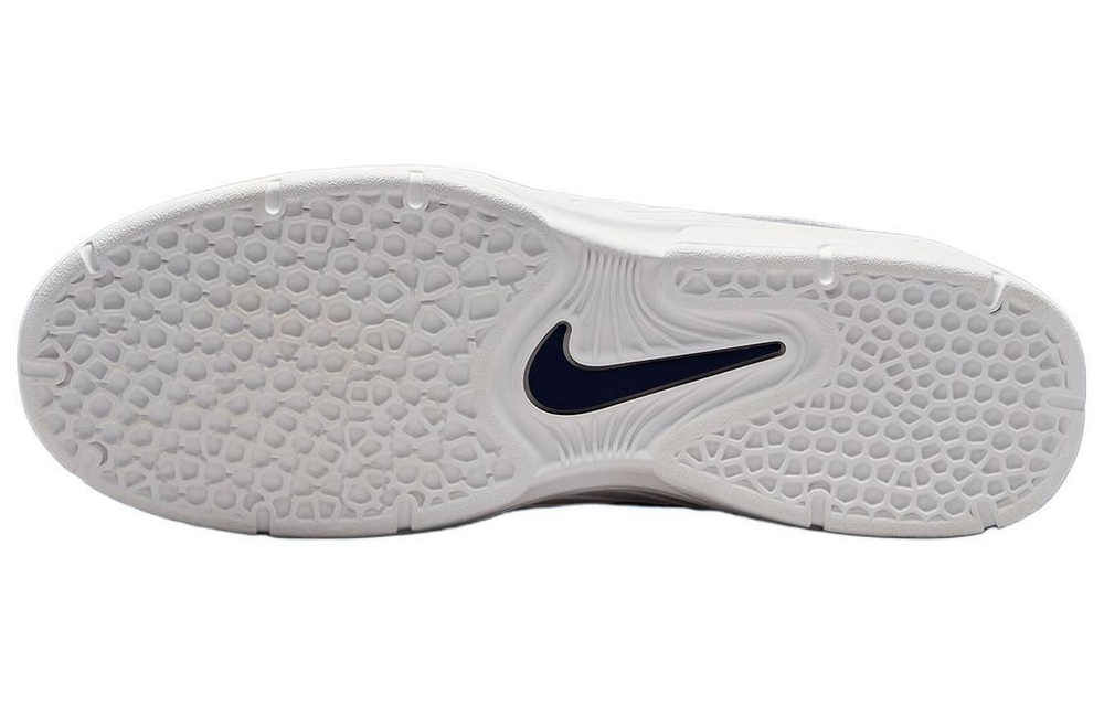 Кроссовки Nike Sb Vertebrae