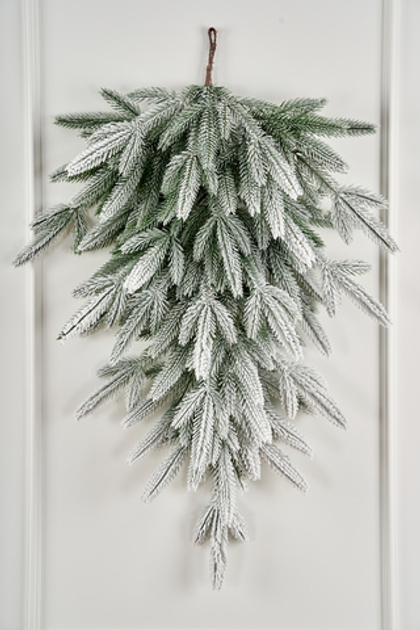 Капля из хвои Кассиопея заснеженная