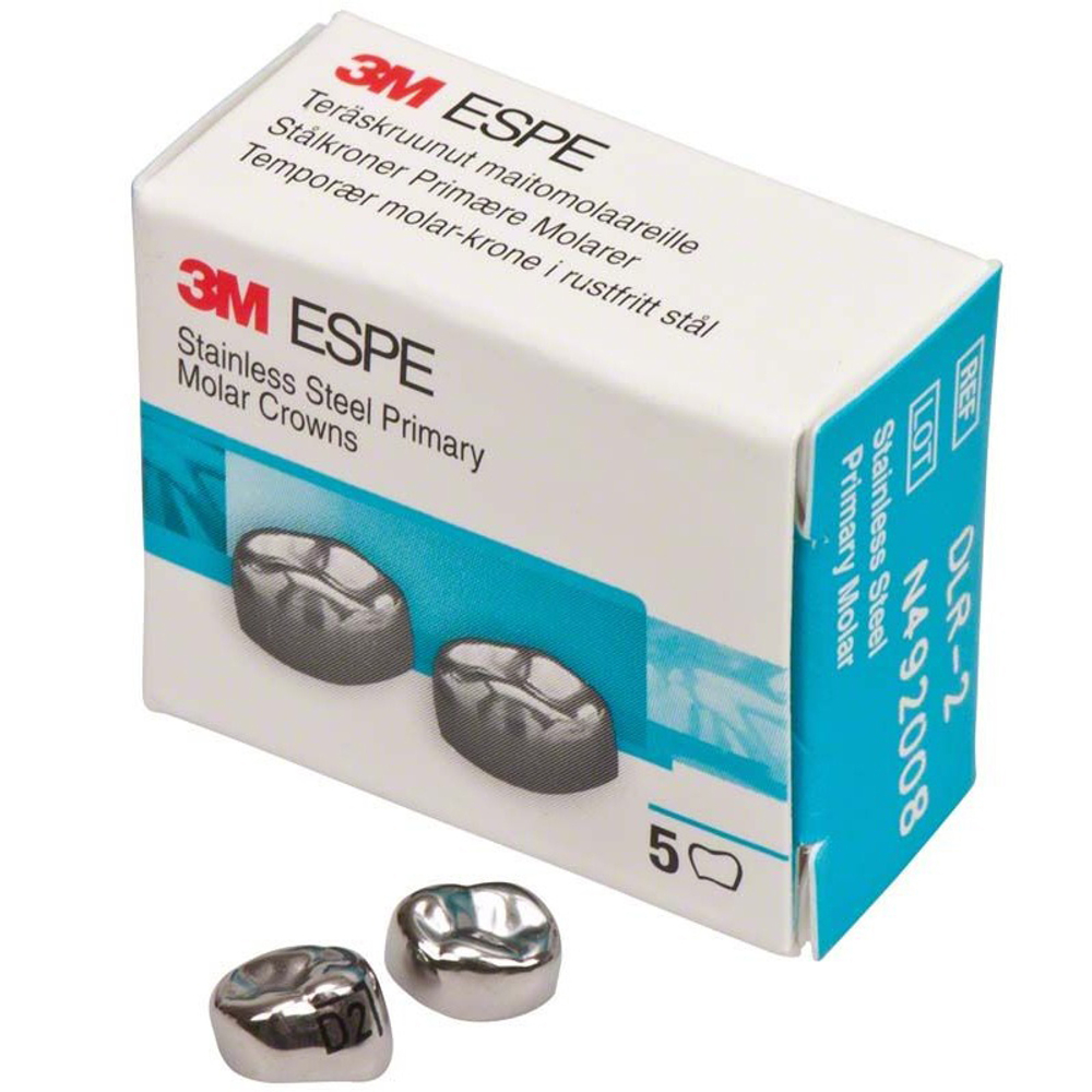 Первый нижний правый моляр, размер 2 (D-LR-2)