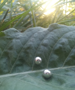 Серьги-гвоздики ШАРИК серебро