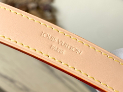 Louis Vuitton Slouchy MM