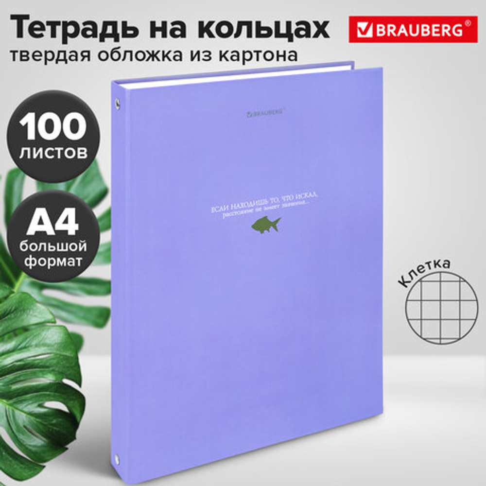 Тетрадь на кольцах БОЛЬШАЯ А4 215х305мм, 100л, твердый картон, клетка, BRAUBERG, Monocolor, 405409