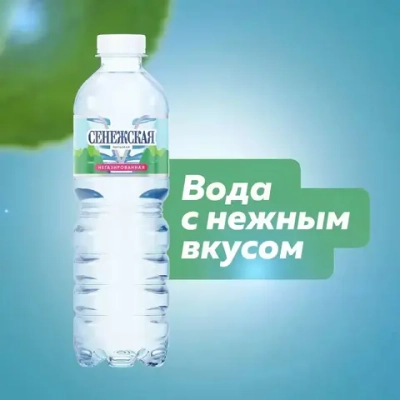 Вода негазированная Сенежская питьевая, 12 шт х 0,5 л