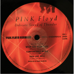 Pink Floyd / Delicate Sound Of Thunder (2LP)