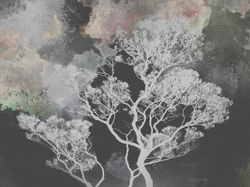 Коллекция VETVE 21