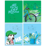 Тетрадь школьная А5 12л косая линия c доп. горизонтальной "Freshy" (BG)