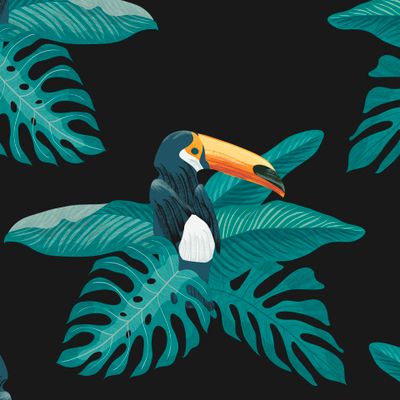 Яркий тукан в листьях пальмы на черном большой