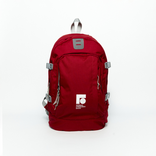 Рюкзак DNMC бордовый