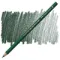 Rəngli karandaş \ Цветные карандаши Faber-Castell Polychromos Pencil - 159 Hooker's Green