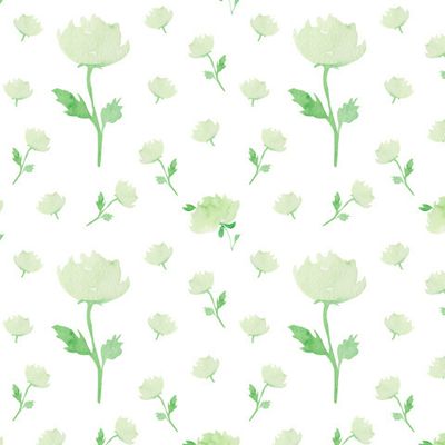 Нежные розы