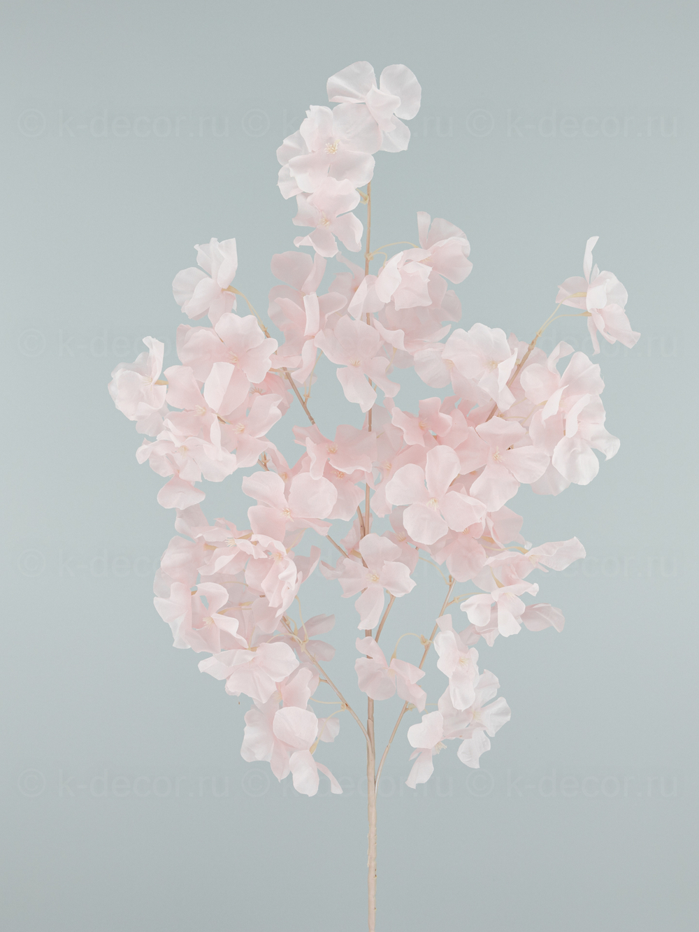 Ветка сакуры Асами розовая