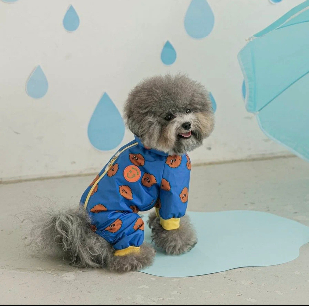 Дождевик «Мальтипу»