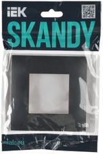 SKANDY Рамка 1-местная SK-F01T титан IEK