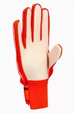 Вратарские перчатки Reusch Attrakt Starter Solid