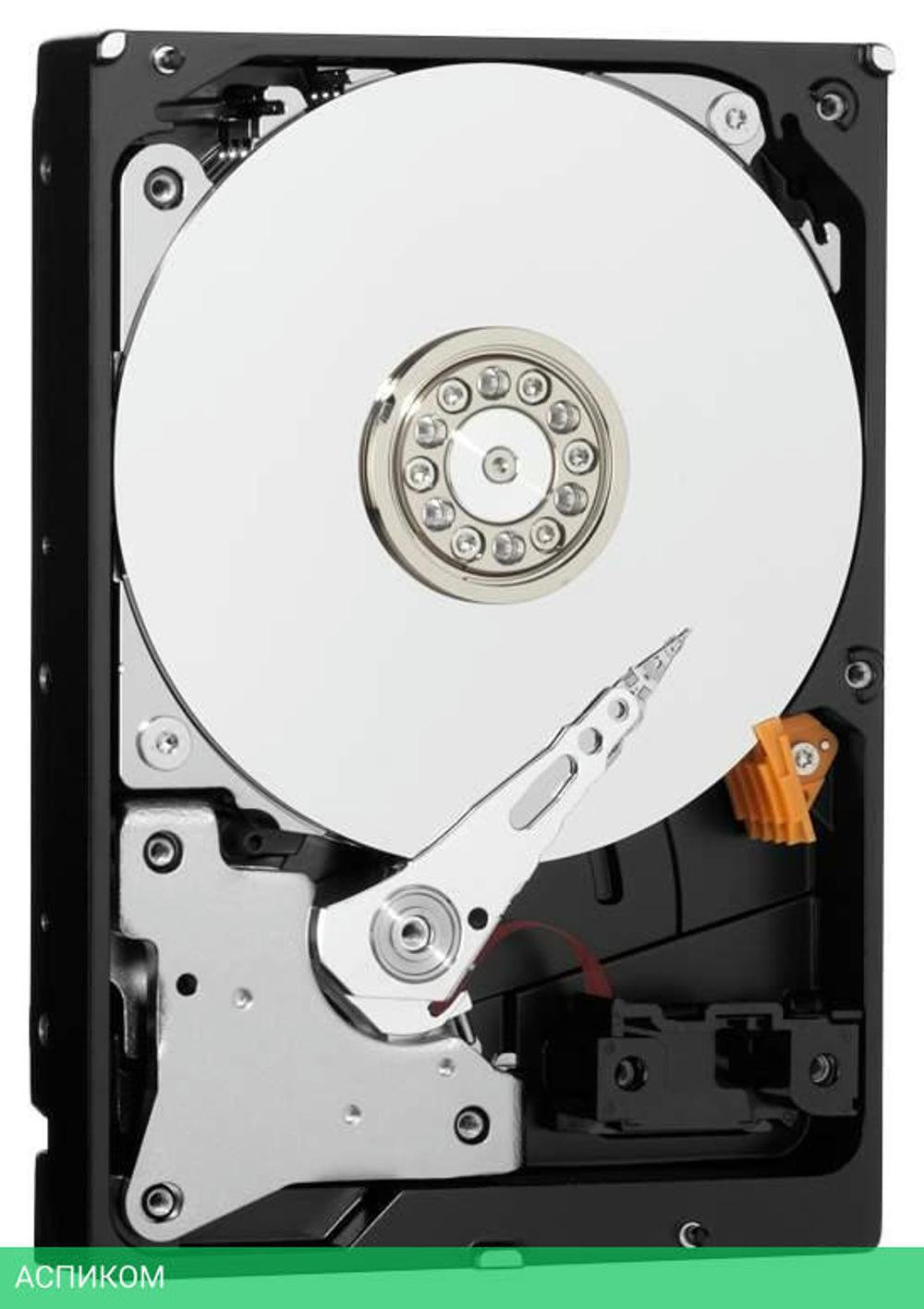 Жесткий диск WD 1TB WD10PURZ