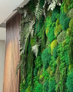 Вертикальное озеленение стабилизированным мхом и растениями