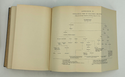 [Редкое издание] Colonel G. F. Young .The Medici. New York: E.P. Dutton and Company, 1920. 2 тома.
