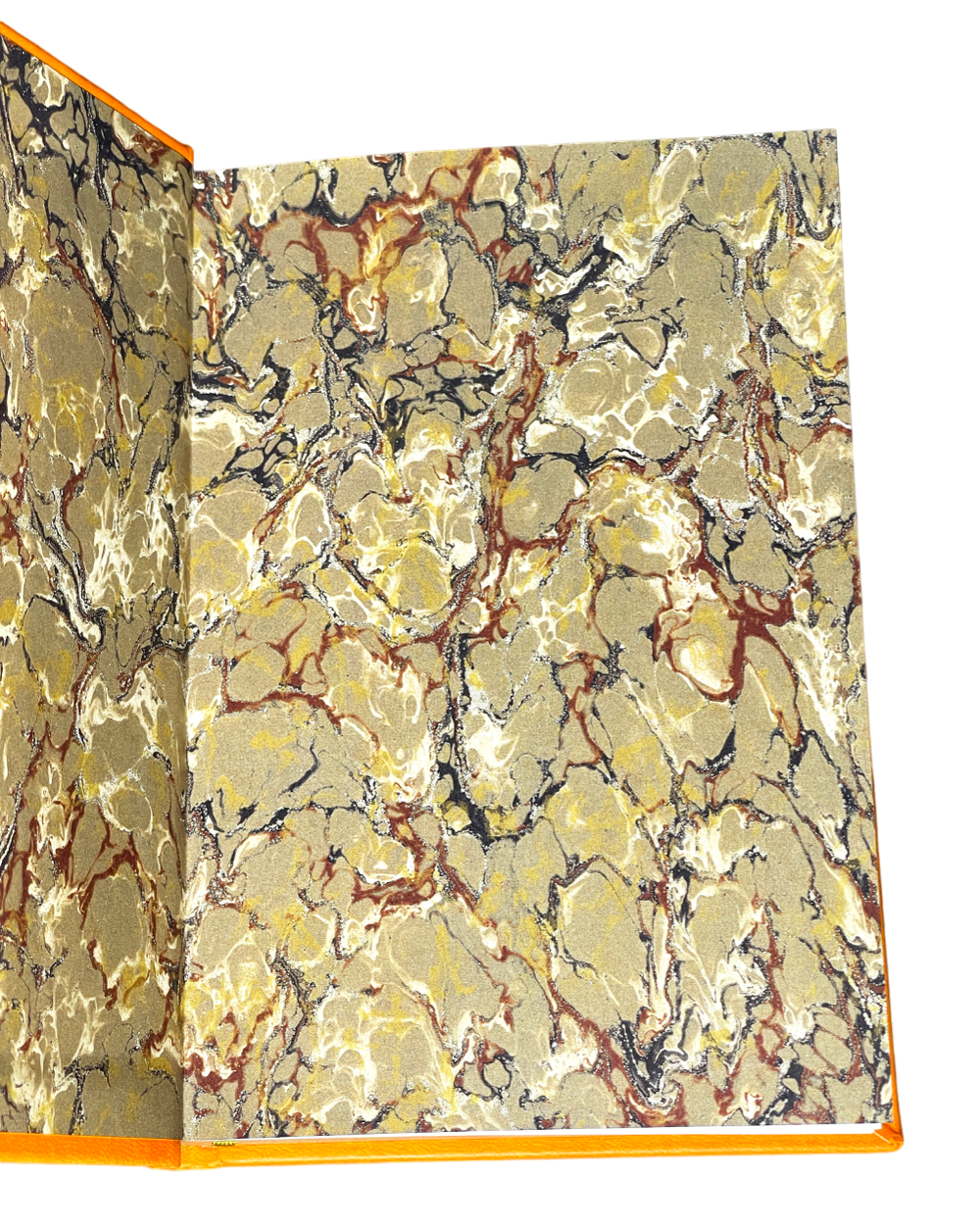 IMG_4555-Photoroom.png-Photoroom