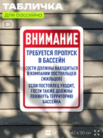 Табличка для бассейна "Для посещения бассейна нужен документ", на пляж, для общественной и частной зоны отдыха, информационная, 40х30 см, Silver Plane x Айдентика Технолоджи