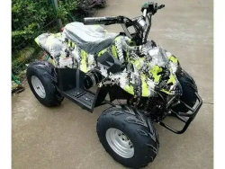 Электроквадроцикл Green Camel Гоби K50 (36V 800W R7 Цепной привод)