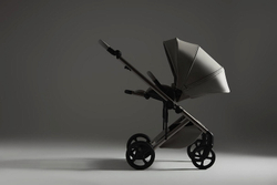 Детская коляска Anex Eli 2 в 1 без рюкзака Santal El-06