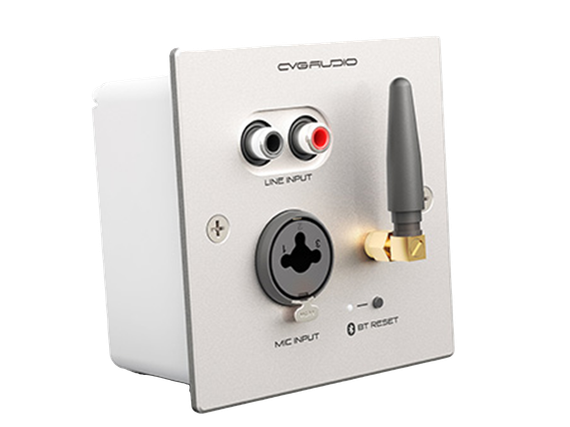 CVGAUDIO PW/EX-IN/W универсальная настенная панель для удаленного подключения балансного микрофона MIC IN