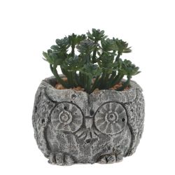 GAEM Цветочная композиция "Суккулент", L11 W11 H12 см