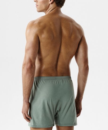 Трусы мужские семейные Atlantic RMX-003, хлопок, светло-зеленый