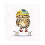 "Скейтбордист"-C224 вышивка