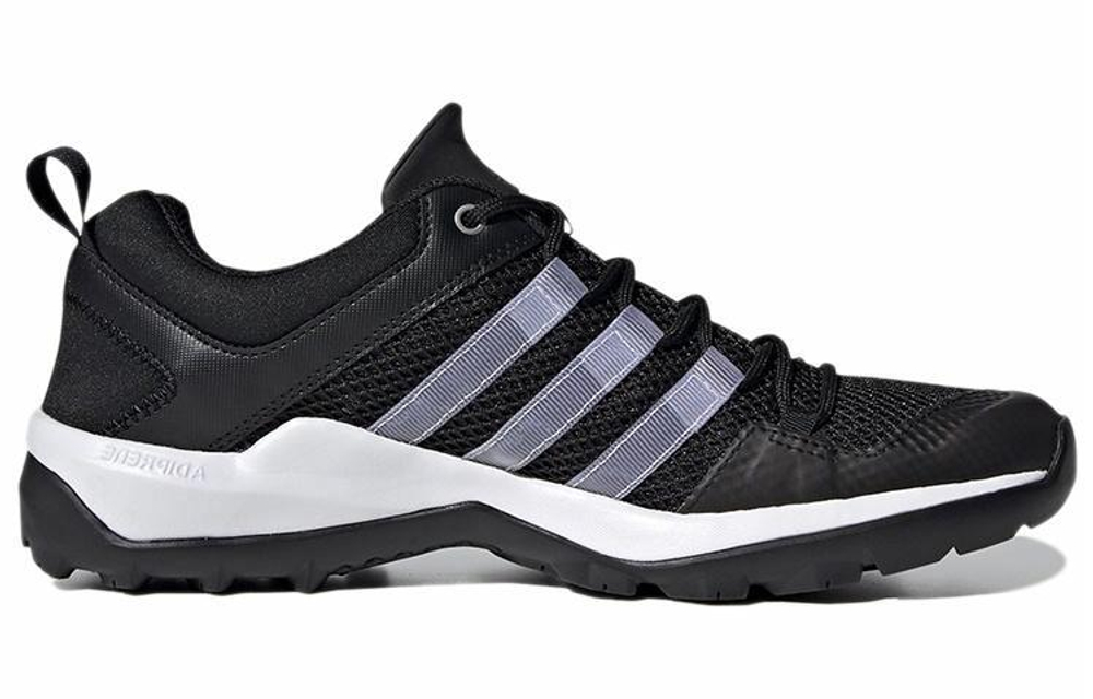 Кроссовки Adidas Terrex Daroga Plus